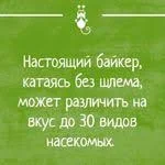 images - 2023-06-21T224720.631.webp