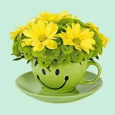 images - 2023-07-12T184353.675.webp