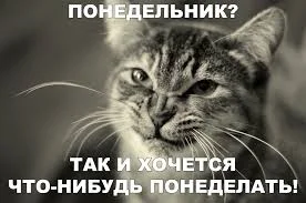 images - 2023-07-24T073437.951.webp