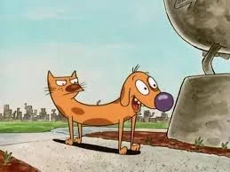 images - 2023-08-17T090545.151.webp