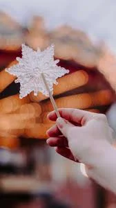 images - 2023-09-06T211833.274.webp