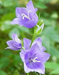 images - 2023-09-22T083839.523.jpeg