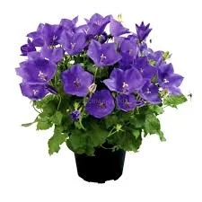 images - 2023-09-22T085539.127.webp