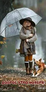 images - 2023-11-16T101939.916.webp