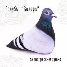 images - 2024-01-25T194858.796.webp