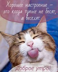 images - 2024-02-17T101720.686.jpeg