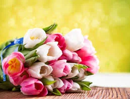 images (21).webp