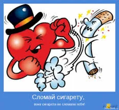 images (24).webp