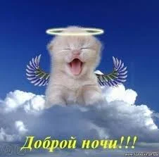 images (26).webp