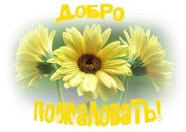 images (29).webp