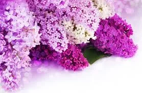 images (3).webp