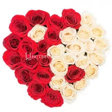 images (33).webp
