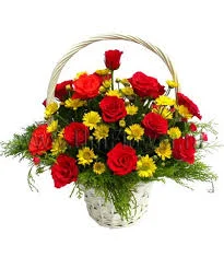 images (38).webp