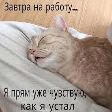 images (4).jpeg_new.jpg