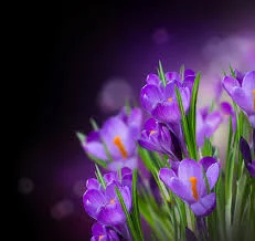 images (4).webp
