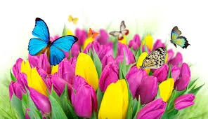 images (4).webp