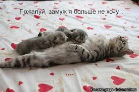 images(48).webp