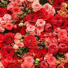 images-5.webp