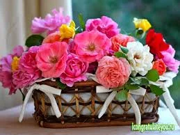 images (5).webp