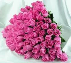 images (50).webp
