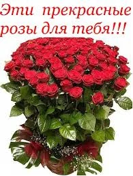 images-56.webp
