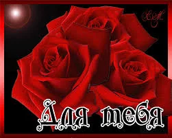 images (7).webp