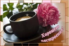 images (7).webp