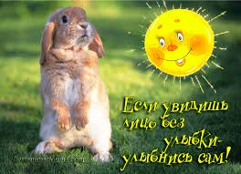images (7).webp
