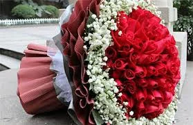 images (8).webp