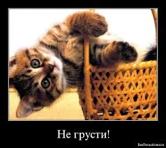 images-96.webp