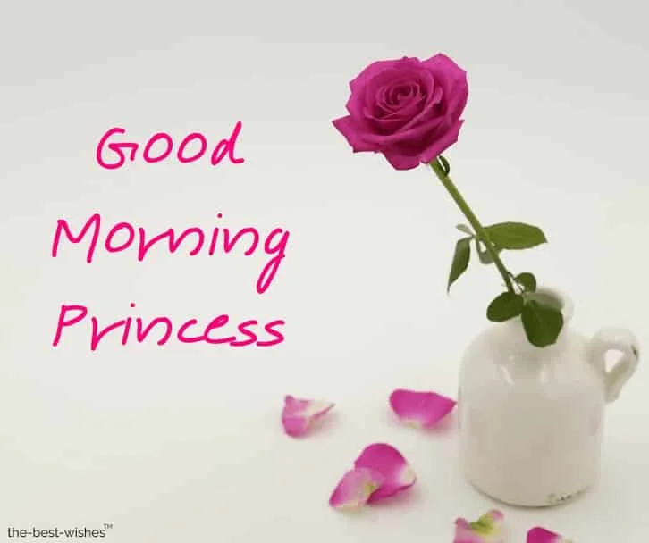 images-of-good-morning-princess.webp