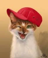 images.webp