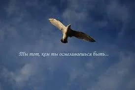 images.webp