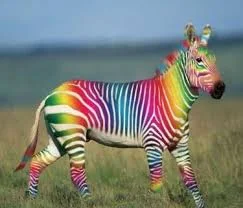 images.webp