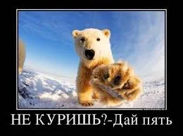 images.webp