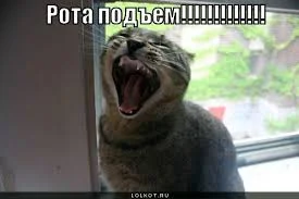 images.webp