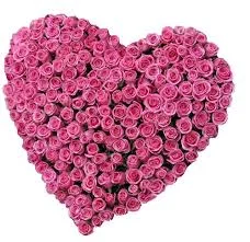 images.webp
