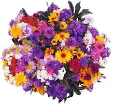 images.webp