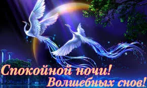 images.webp