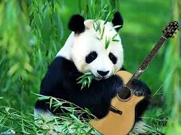 images.webp