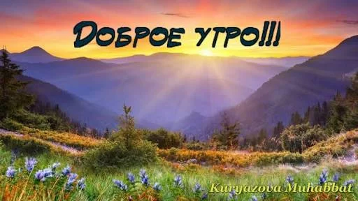 images.webp