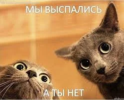 images.webp