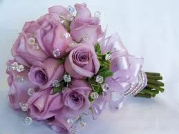 images.webp