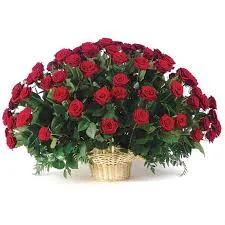 images.webp