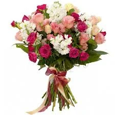 images.webp