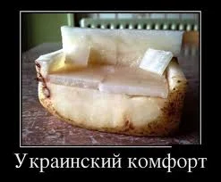 images.webp