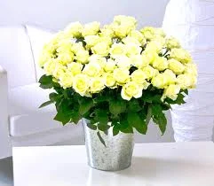 images.webp