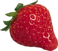 images.webp