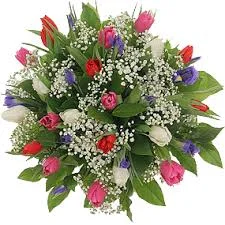 images5.webp