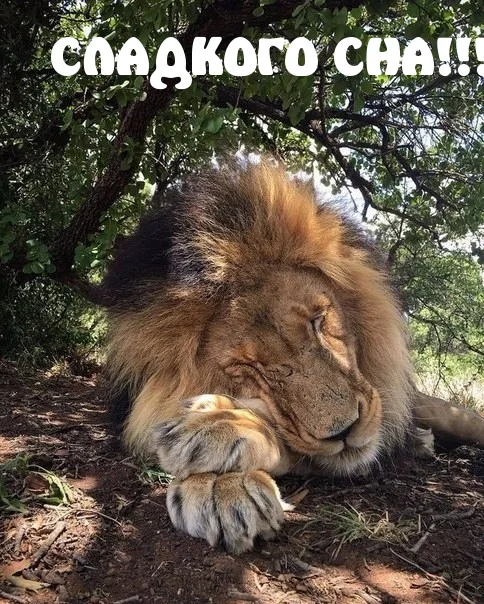 images_11560 (1).webp